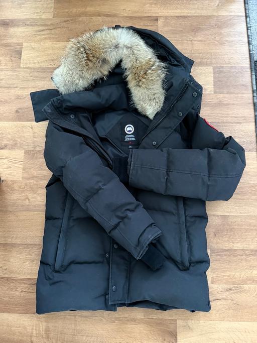  — Canada goose