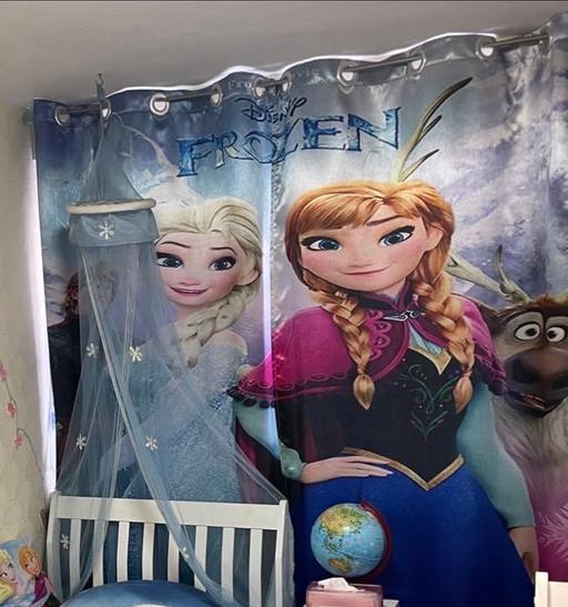 Buy & Sell Peckham South East London - Photos for Disney Frozen Elsa & Anna 3D Blockout