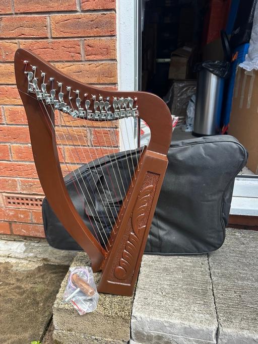 Buy & Sell Bordesley Green Birmingham - Photos for 15 string Lever harp