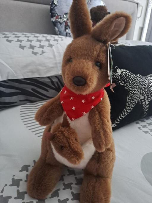 Buy & Sell Gleadless Valley Sheffield - Photos for lovely soft new toy