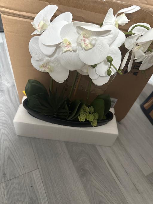 Buy & Sell Bilston Wolverhampton - Photos for Brand new artificial plant