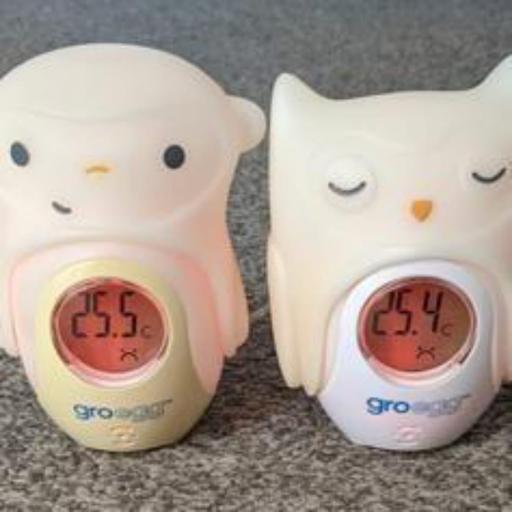  — gro egg with shell £10 each