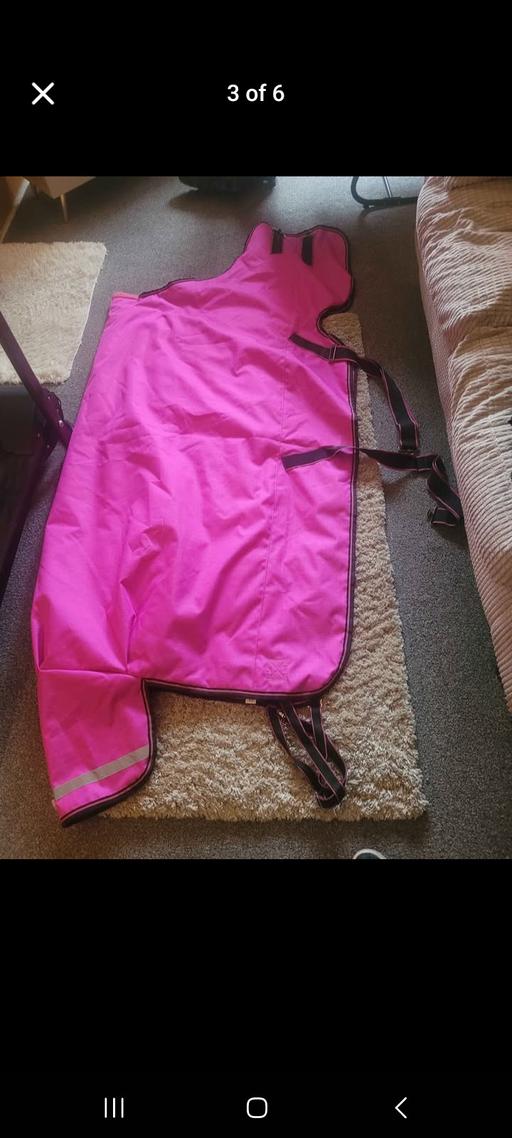 Buy & Sell Princes End Sandwell - Photos for New horse rug