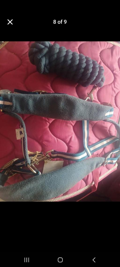 Buy & Sell Princes End Sandwell - Photos for 3 horse head collar