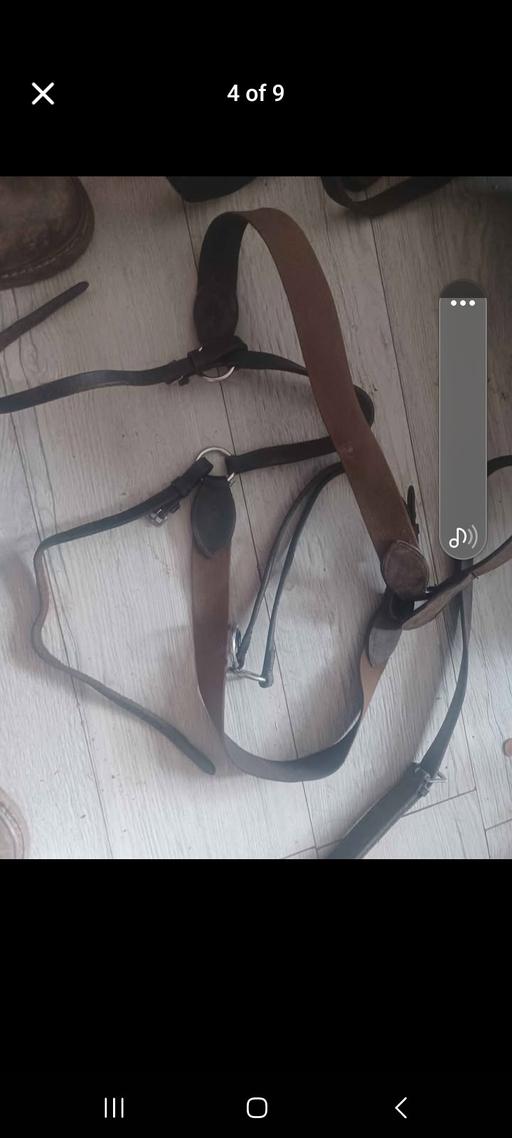 Buy & Sell Princes End Sandwell - Photos for grazing muzzle and martingales