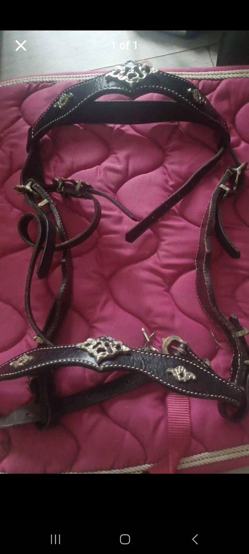 Buy & Sell Princes End Sandwell - Photos for 4 horse bridles