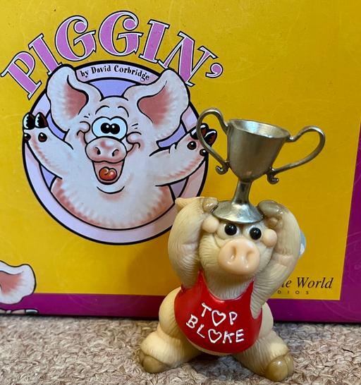 Buy & Sell Houghton Le Spring Sunderland - Photos for Piggin Top Bloke Collectable