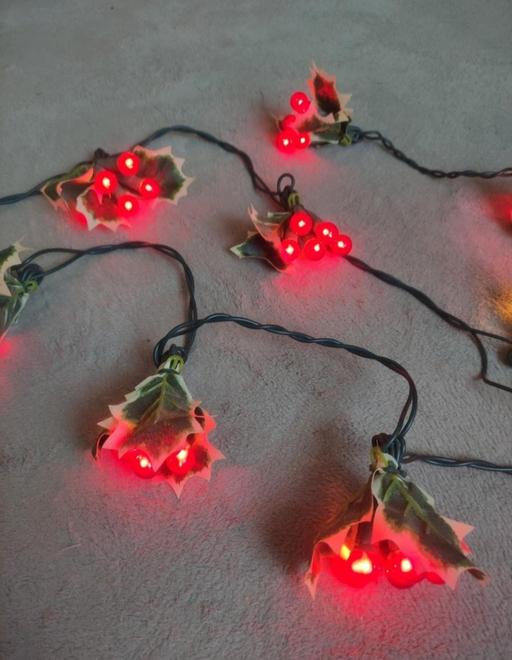 Buy & Sell Grafton Street Industrial Estate West Northamptonshire - Photos for 50 red berry whole leaf lights