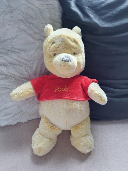 Buy & Sell Stainforth Doncaster - Photos for pooh teddy