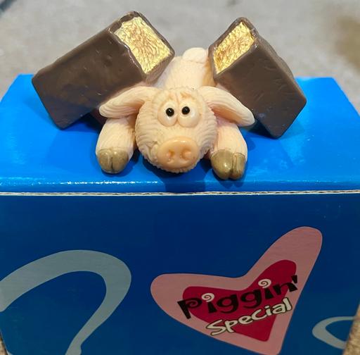 Buy & Sell Houghton Le Spring Sunderland - Photos for Piggin Credit Crunchied Collectable