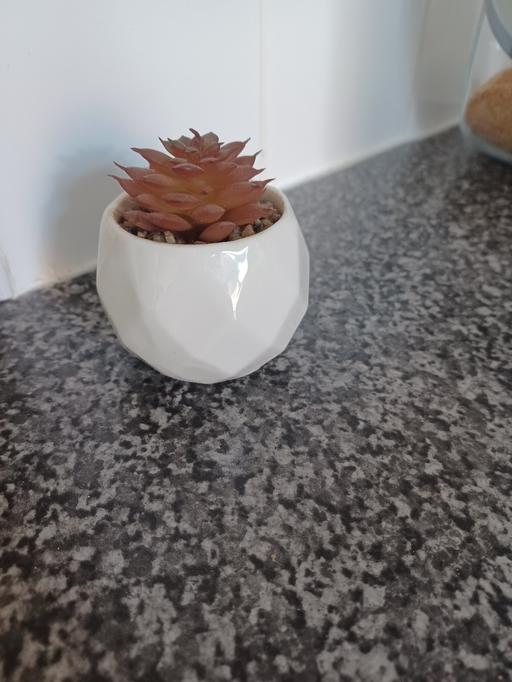 Buy & Sell Eckington North East Derbyshire - Photos for mini faux plant