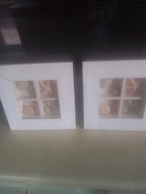 Buy & Sell Streetly Walsall - Photos for TWO SMALL SHELL PICTURES
