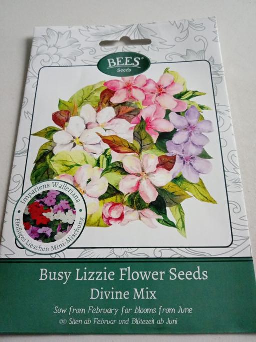 Buy & Sell Horncastle East Lindsey - Photos for new pack of Busy Lizzie Flower seeds