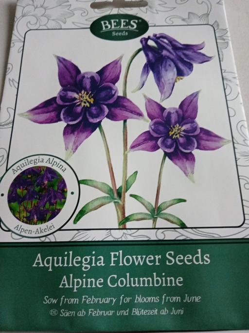 Buy & Sell Horncastle East Lindsey - Photos for new pack of Flower seeds