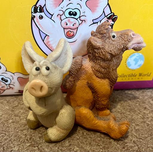 Buy & Sell Houghton Le Spring Sunderland - Photos for Piggin got the Hump Collectable