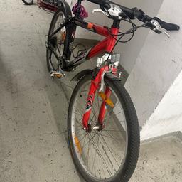 24 zoll fahrrad mit gepäckträger Kinderfahrrad, Altec Dakota Gepäckträger, 7 Gang Shimano, – 🖊️ Mounjaro Pen Box schnell zubereitet Typ:Runde Behälter
