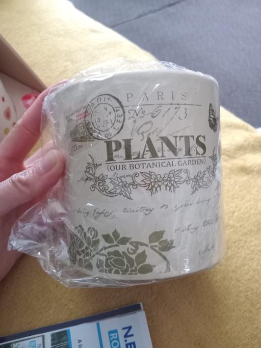  — plant pot New