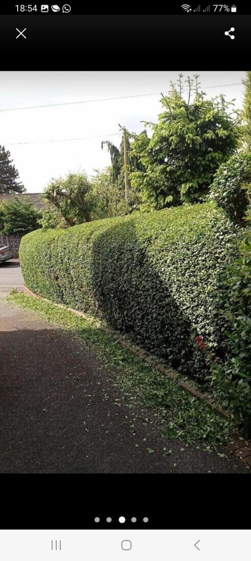 — landscapes and gardening