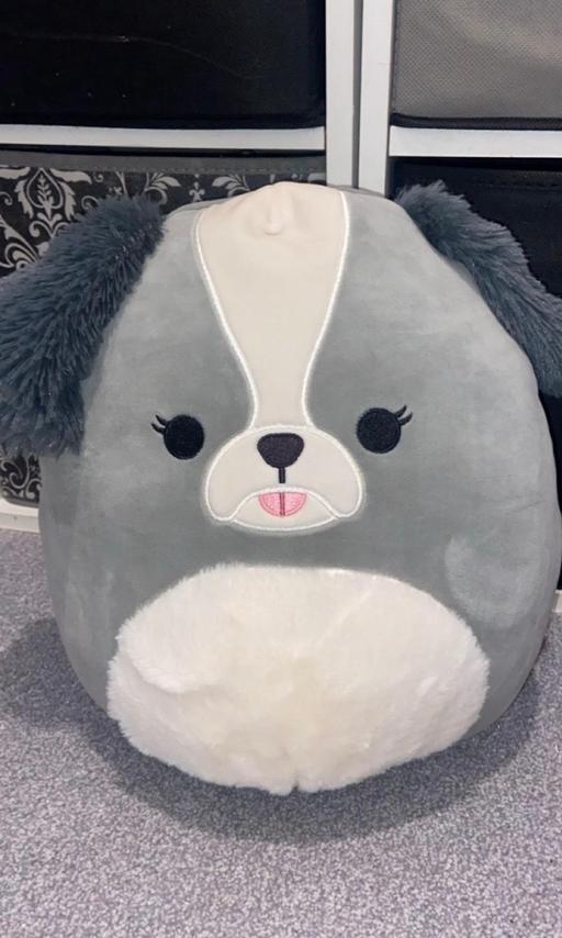  — New squishmallow