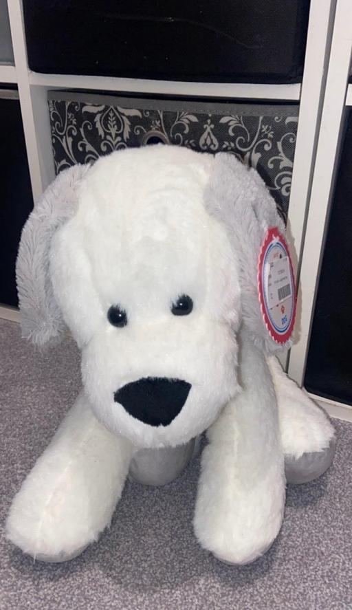  — New dog plush
