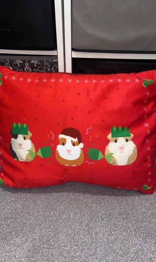  — Cushion