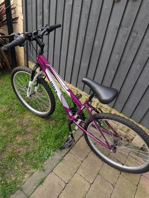  — Mountain Bike Purple Girl/ Womans