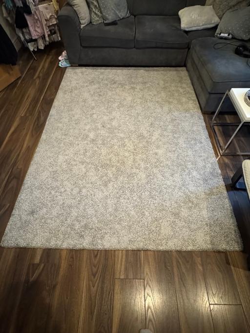  — grey carpet