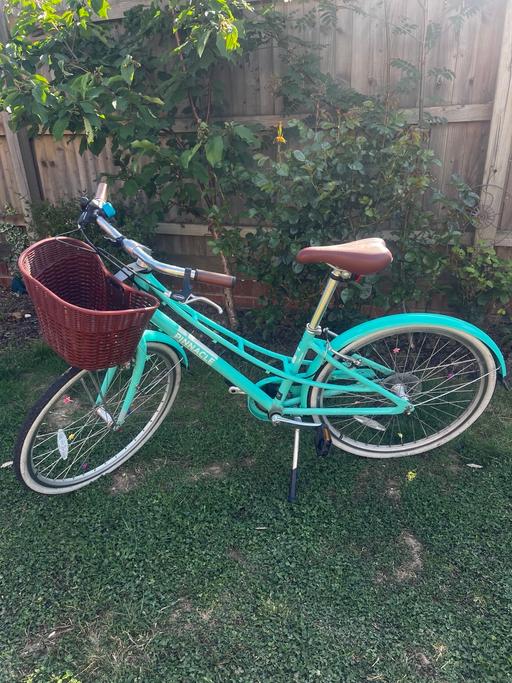  — Pinnacle bike