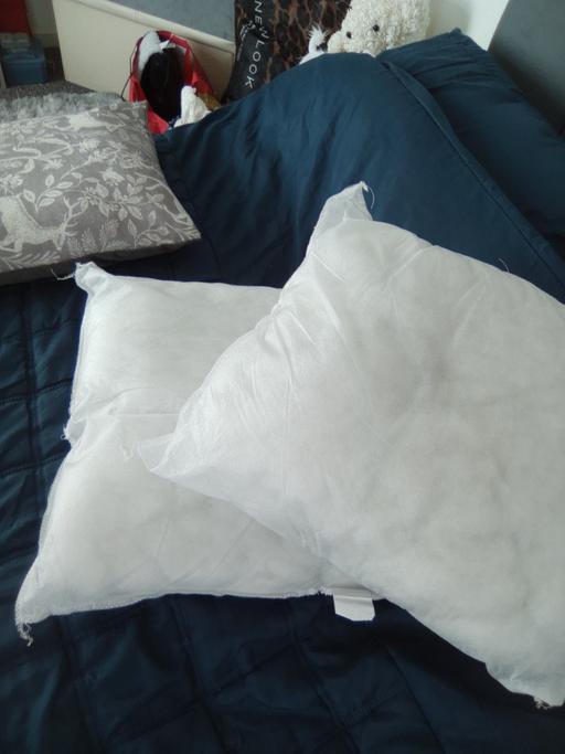  — cushions