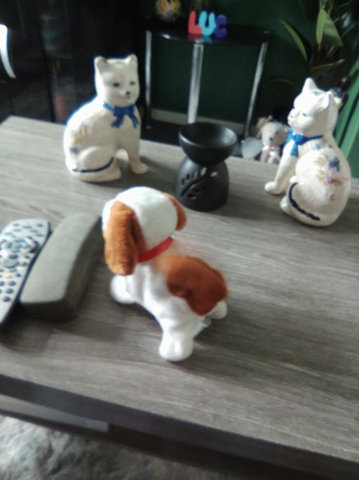  — toy
