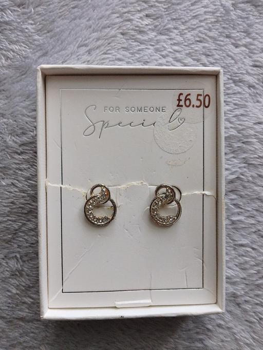  — earrings