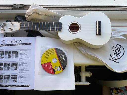  — Ukulele