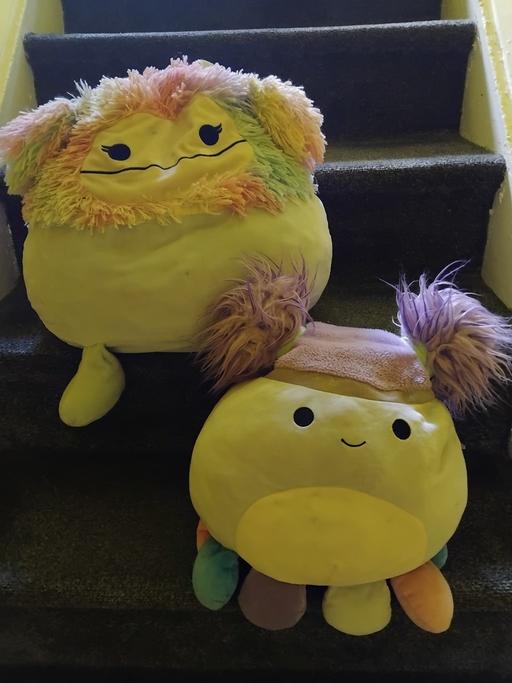  — 2 Squishmallows.