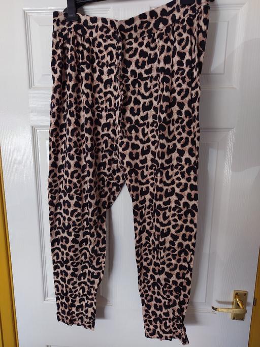  — Women's leopard print trousers size 14