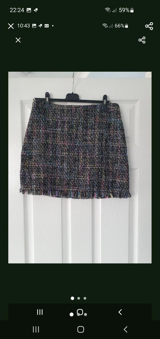  — ladies skirt