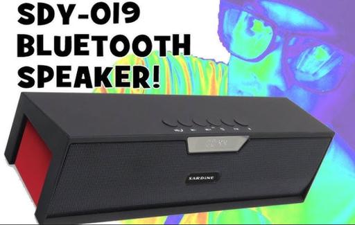  — SARDINE SDY-019 BT Speaker+ FM Radio & Alarm