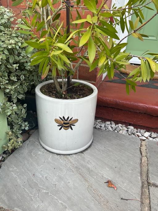  — Large bee pot