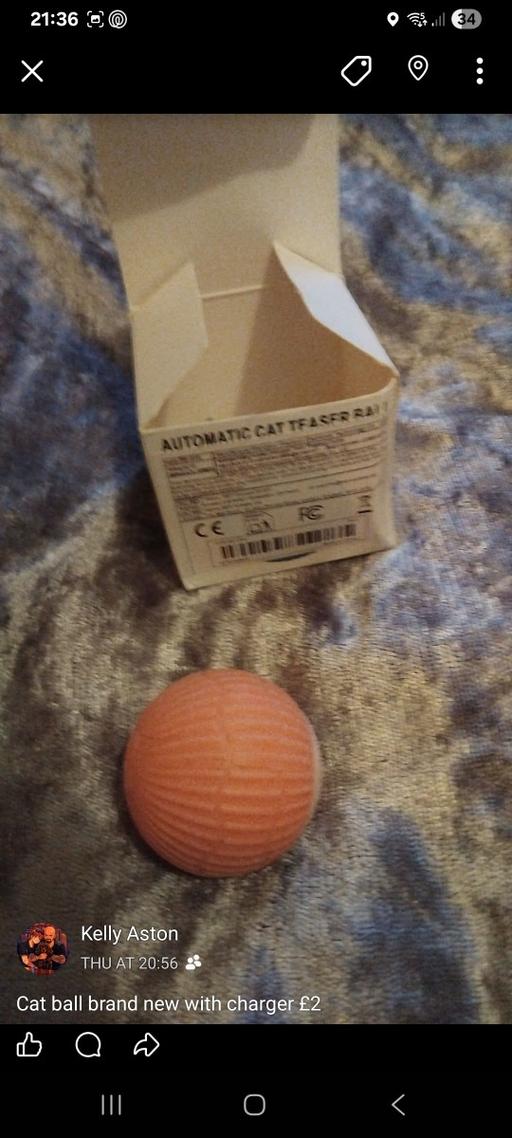  — cat ball