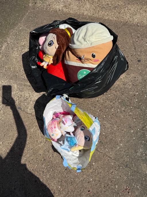  — Bag of teddies