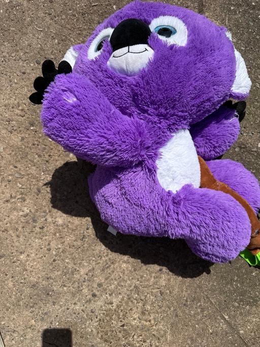  — Large koala