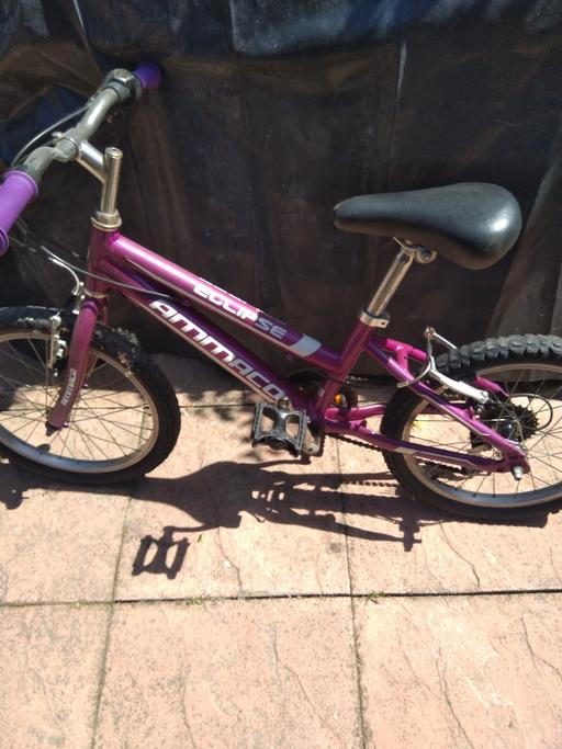  — kids bike
