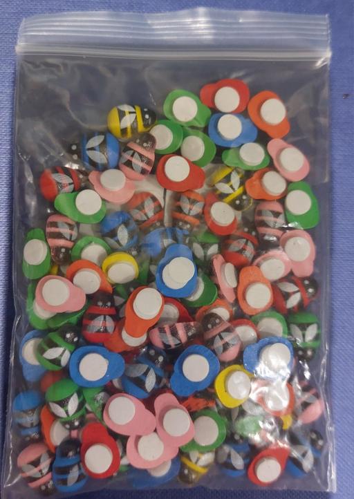  — 100 X COLOURED LADYBIRDS