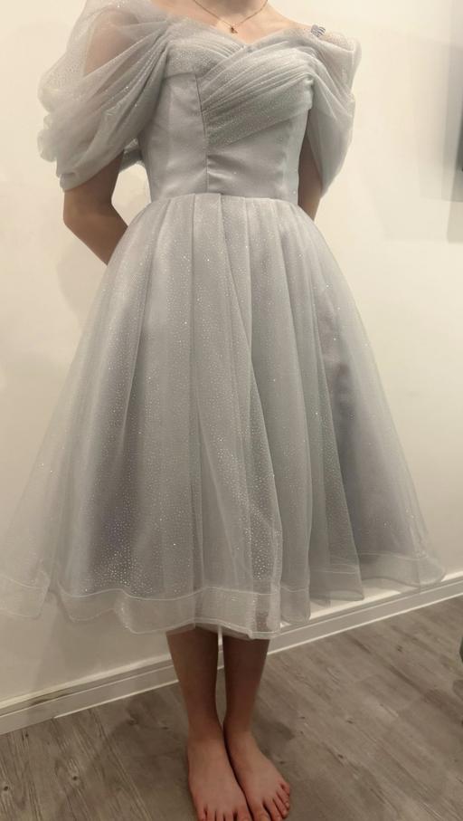  — Silver Princess Dress ✨