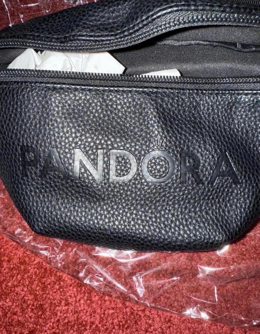  — Pandora Bum Bag.