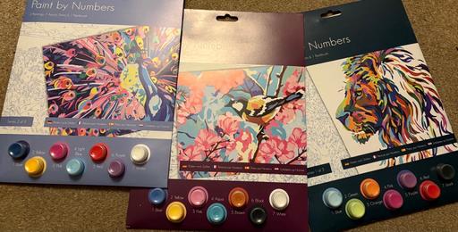  — Adult paint by numbers set of 6 pictures