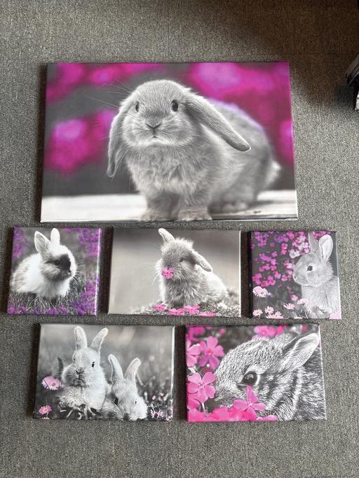  — Bunny Print Poster Canvas