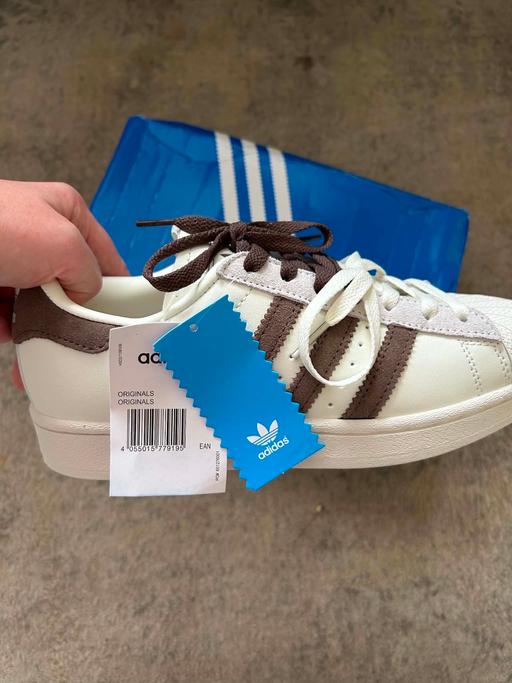  — Molly Mae superstars
