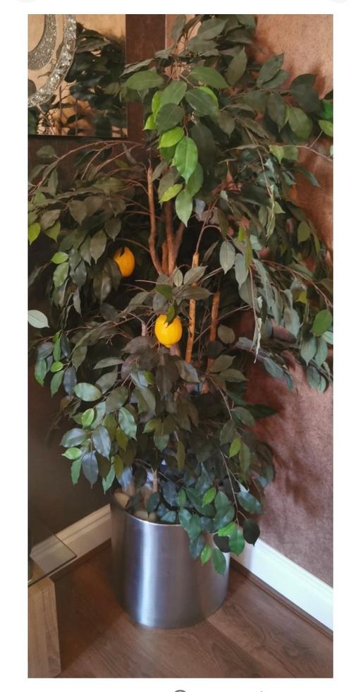  — Artificial plant