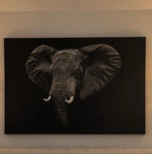  — Canvas elephant picture