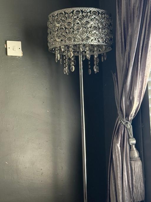  — silver floor lamp